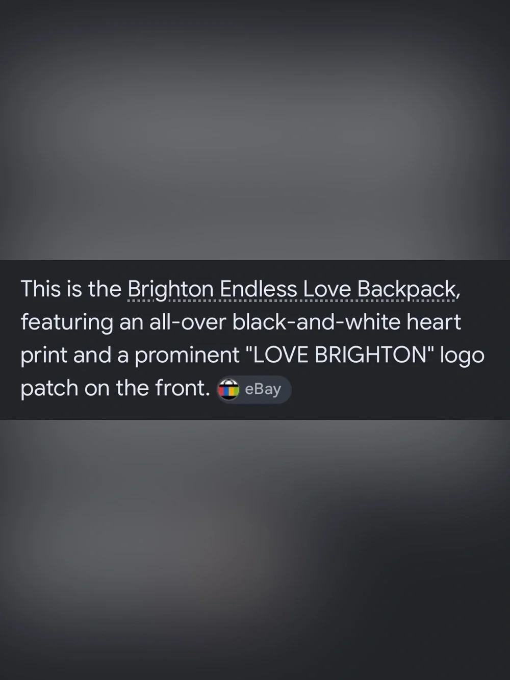 NWOT Brighton “Endless Love” Mini Backpack